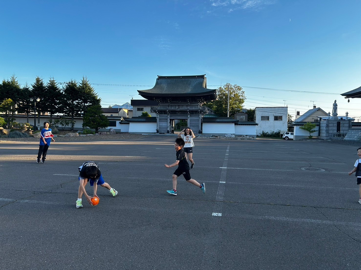 TOCO.LABO.(トコラボ)